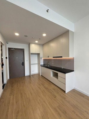 bán căn hộ 2pn - 55m2, có tầng lửng full nội thất cao cấp. trần cao 5.3m2 rất thoáng