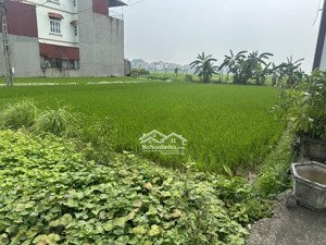 bán đất gần mặt đường 12b định hoá, kim sơn, ninh bình, 3,1 tỷ, 110,5 m2 đẹp, nhiều tiện ích