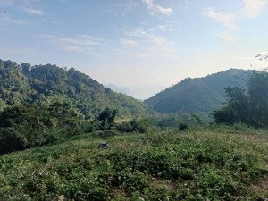 bán quỹ đất lớn 22,9ha view hồ hiền lương đà bắc (làm việc chính chủ)