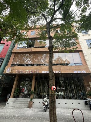 siêu đẹp, cho thuê nhà mặt phố huỳnh thúc kháng, dt: 70m2 x 5t, mt: 10m. giá thuê: 80 triệu /tháng