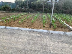 bán đất phú cát huyện quốc oai 100 m2 mặt tiền 6 m giá 3,2 tỷ