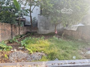 bán đất võng la 102m nở hậu, ô tô 7 chỗ đỗ cửa, gần chợ giá 5,25 tỷ