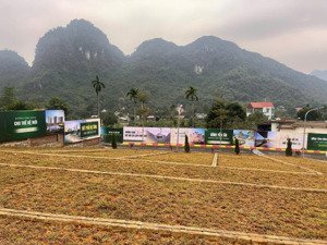 chỉ với 1,5tỷ - dt 100m2 - full tc - sẵn sổ - ngay đại học và khu tổ hợp y tế