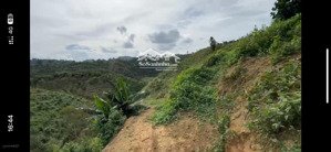 chính chủ bán đất vườn 1,7 ha lộc nam, bảo lâm, số hổng đầy đủ, giá tốt