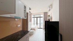 cho thuê căn hộ dịch vụ gần chợ bà chiểu,ngay bùi đình tuý,40m2,cửa sổ lớn-ban công,full nội thất