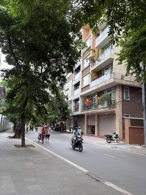 cho thuê nhà mặt phố trần quang diệu, 50 triệu, 74 m2, 4pn, 3wc, đống đa, hà nội