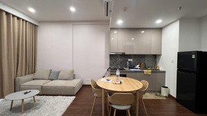 chính chủ cho thuê căn hộ 1pn+, dt45m, full đồ. lh 