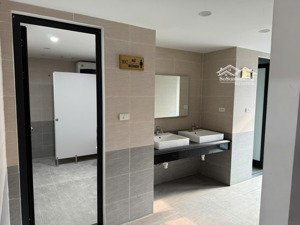 cc cần bán building 8 tầng lạc long quân 288m² mt 16m có hầm, dòng tiền 2.5 tỷ/năm lh0898982846