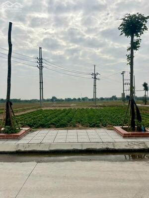 Bán đất đấu giá Cống Đầm cực đẹp, Đại Xuyên Phú Xuyên