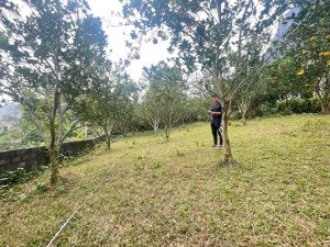 lô đất 600m fun thổ cư tại kim bôi hoà bình