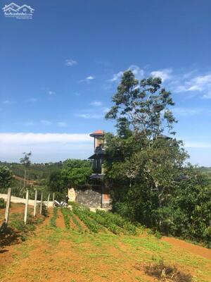 900M2 ĐẤT TẢN ĐÀ, PHƯỜNG 1, BẢO LỘC KẾ BÊN HOMESTAY - VIEW DỰ ÁN SUN VALLEY