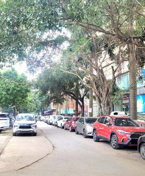 siêu phẩm biệt thự kđt xa la - hà đông, sang trọng, dt140x4t, mt 11m chỉ 2x tỷ- lh 092797596