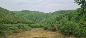 bán dự án trại lợn tại thành hóa