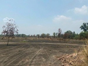 đất skc xây dựng kho xưởng depot tại kcn long đức gần sân bay long thành hđ dài hạn hỗ trợ xin gpxd