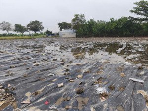 còn duy nhất lô 210m2 giá 969tr cách tthc chỉ 800m nhanh tay chốt ngay lô đất