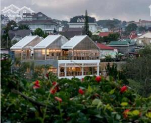 BÁN ĐẤT MAI ANH ĐÀO ĐÀ LẠT 2 MẶT TIỀN CHỈ 46 TỶ