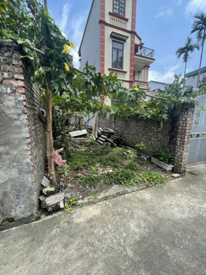 bán nhanh 55m kim sơn- thuận an, giá chỉ 3 tỷ