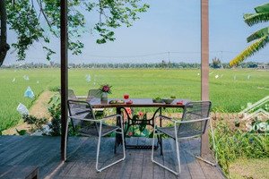 bán đất view lúa an mỹ giá chỉ 5 tỷ diện tích: 200m² view cánh đồng lúa thoáng 5 tỷ