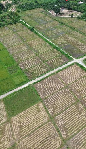 hàng hiếm tại xã suối cát, cam lâm, khánh hòa, 350 triệu, 980m2