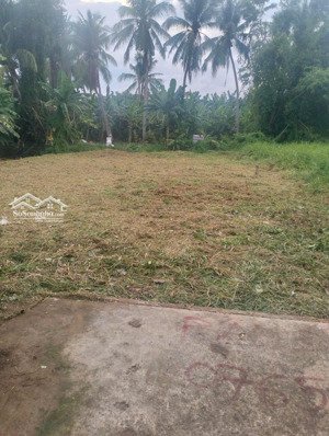 chính chủ bán nhanh đất xã trường bình cần giuộc, long an diện tích 138m² giá chỉ 1 tỷ, lh ngay