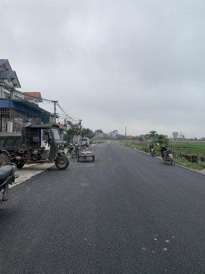 chính chủ cần bán 175.5m2 đất kinh doanh tại minh lý, hoàng hoa thám