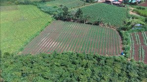 đất nông nghiệp cách sân bay đà lạt 15km - 2000m2 đất đen