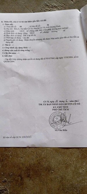 đất nền trung tâm huyện cô tô giá đầu tư