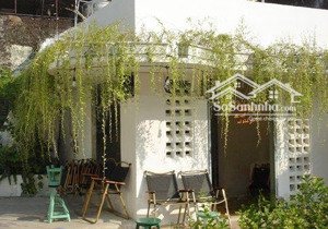 cho thuê biệt thự style cổ điển - trống suốt lê văn sỹ q3-dt:225m2-ph: cafe-studio-lh:0868870786