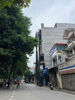 chính chủ cần bán gấp đất hoa lâm - việt hưng. diện tích 46m2 - 2 thóang vĩnh viễn