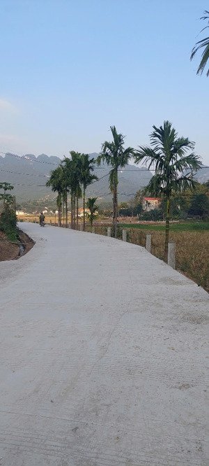 hot hot 676m gần ngay khu du lịch suối khoáng kim bôi giá rẻ chỉ 1,x tỷ chính chủ bán gấp hòa bình