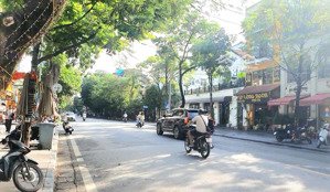 hoa hậu - mặt phố quang trung hoàn kiếm, 3 thoáng, giá đầu tư. 550m, 5t, mt 23m, 410 tỷ