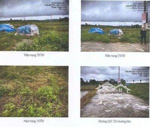 ngân hàng msb đấu giá đất phường hương an, tp. huế 290,8m²