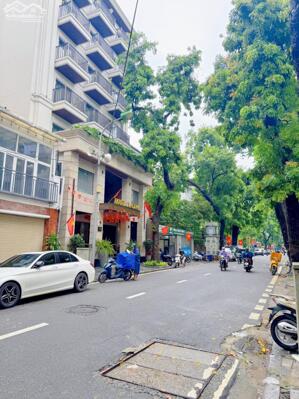 Bán Nhà P/Lô Ô Tô Đỗ Lý Nam Đế Hoàn Kiếm 60m2-4T MT4,8m 2 THOÁNG 21,8 Tỷ.