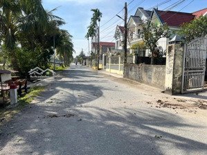 bán đất mặt đường trục thôn view sông trực trang, bát trang, an lão, hải phòng