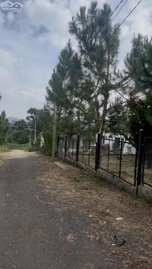 1,6 SÀO KẾ HOMESTAY FLOWER - ĐƯỜNG HOÀI THANH, BẢO LỘC