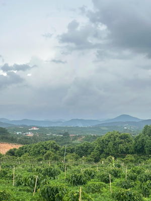 đất ven đà lạt, cách đà lạt 30km cách sân bay 22km