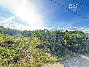 lô đất rộng 2.000m², giá chỉ 2 tỷ cách đà lạt 27km