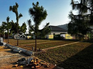 bán đất nền tại đường 21a, phú cát, quốc oai, hà nội, giá siêu hời, 3 tỷ vnd, 100m2