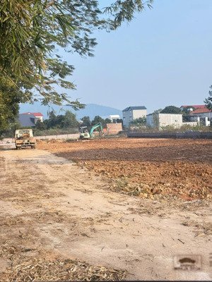 bảng hàng mới chuẩn bị lên kệ tại phú thịnh, kim anh, hn (minh phú, sóc sơn, hn)