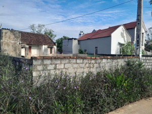 ngân hàng phát mại 800.3m2 đất ở xã cẩm tâm cẩm thủy