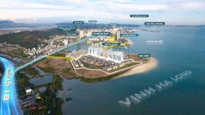 bán quỹ căn biệt thự liền kề sát biển tại bãi cháy