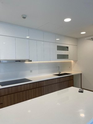 cho thuê 3 phòng ngủ ntcb , view pháo hoa-sông sg-bitexco