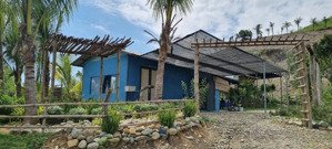 chính chủ cần bán nhanh farm tại khánh phú khánh vĩnh