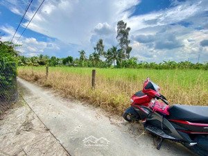 đất đường lễ văn tưởng 130m² thổ cư, gần ql1a, xã hướng thọ phú, tân an, giá 420 triệu