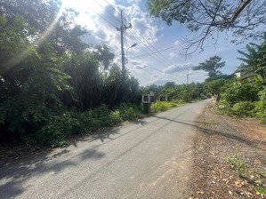 bán đất tại xã nhuận đức, củ chi, hcm, giá 8,5 tỷ, diện tích 1515 m2