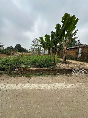 bán gấp lô góc 100m2 nằm trong thủ phủ nhà trọ, sát vách cnc hòa lạc. đơn giá chỉ 4x tr/m2