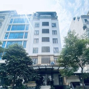 cần bán nhanh - bán gấp nhà mặt phố phố huế, hai bà trưng - 281m2 x 7t thang máy + mặt tiền 8,6m