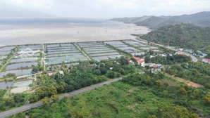 chủ ngộp bán cắt lỗ: 5080m2 đối diện vinpearl cam ranh! chỉ với 6 tỷ 888