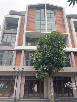 biệt thự siêu hot tại vinhomes ocean park 3, giá , 56m2