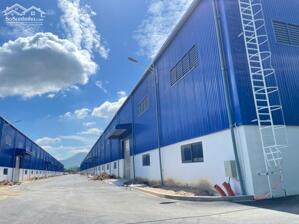 CHO THUÊ NHÀ XƯỞNG NGOÀI KCN ĐỨC HÒA, LONG AN 4200M2- PCCC TỰ ĐỘNG- ĐIỆN 1000KVA- ĐƯỜNG CONT